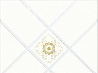 鋁天花批發(fā)-辦公室吊頂鋁天花材料有哪些